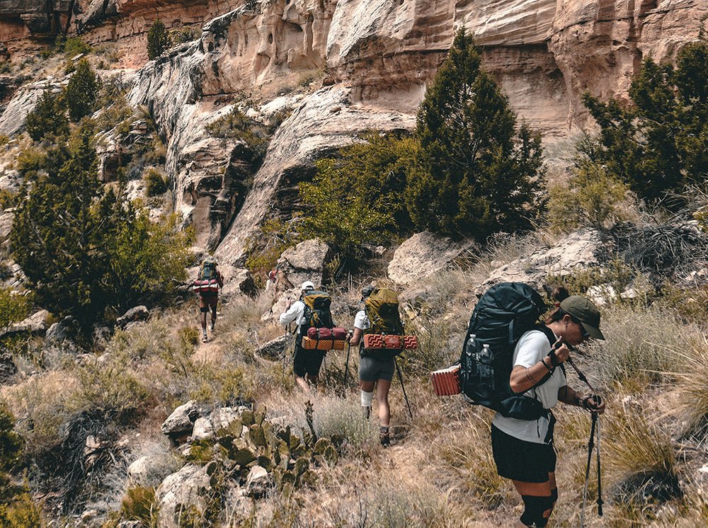 Adventure 8: Grand Canyon, USA. - THAT GORILLA BRAND