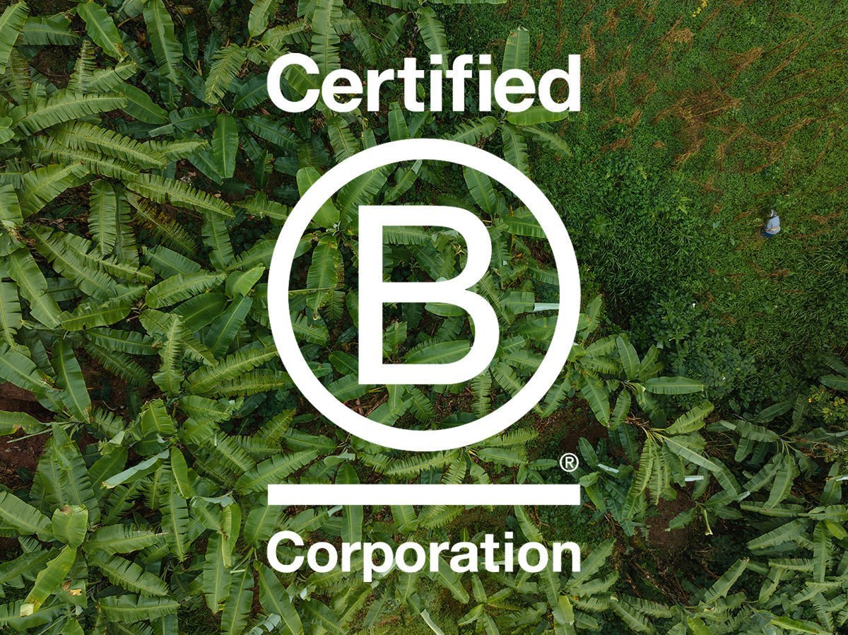 We’re Officially B Corp Certified - THAT GORILLA BRAND