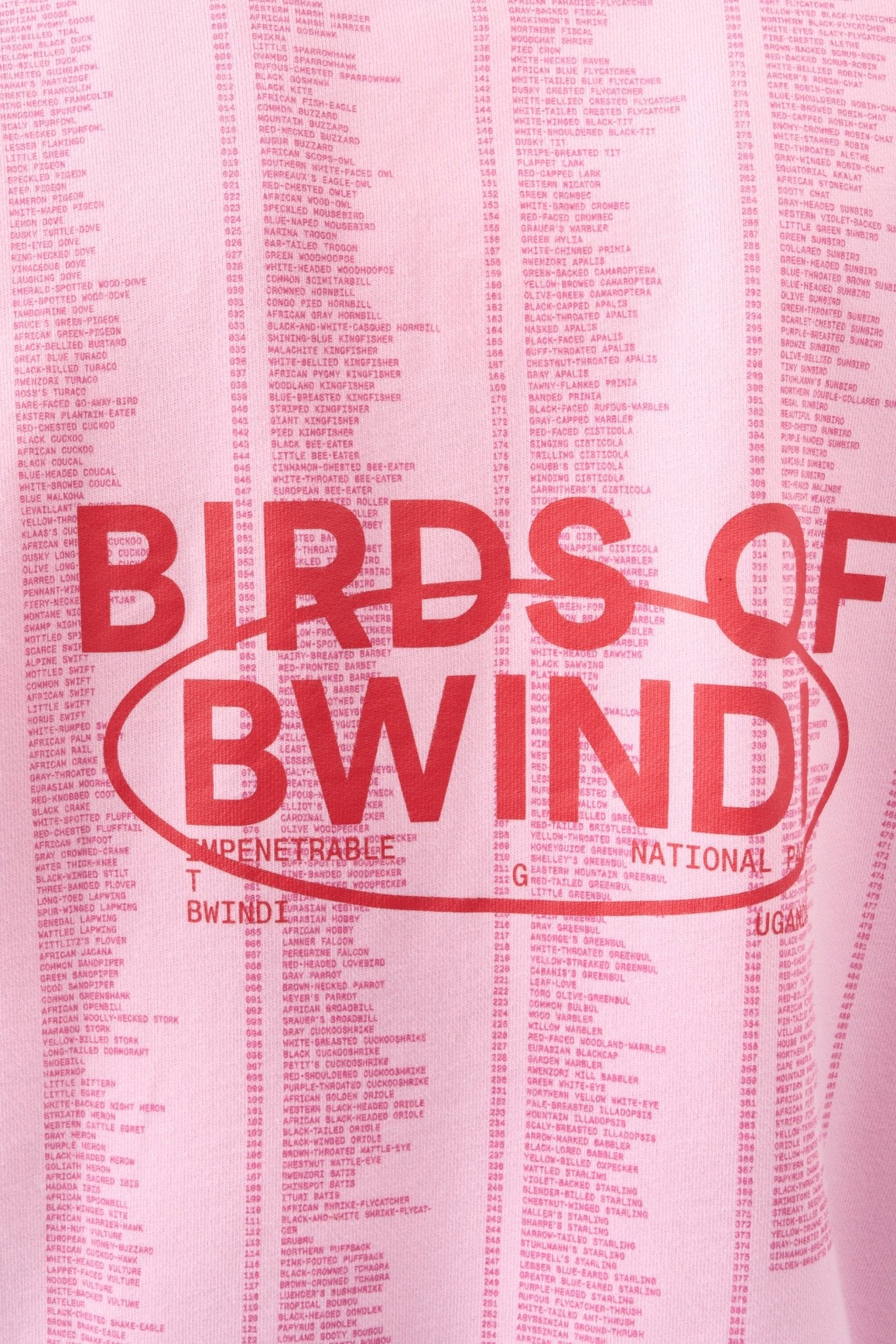 Birds of Bwindi Hoodie - Pink - THAT GORILLA BRAND