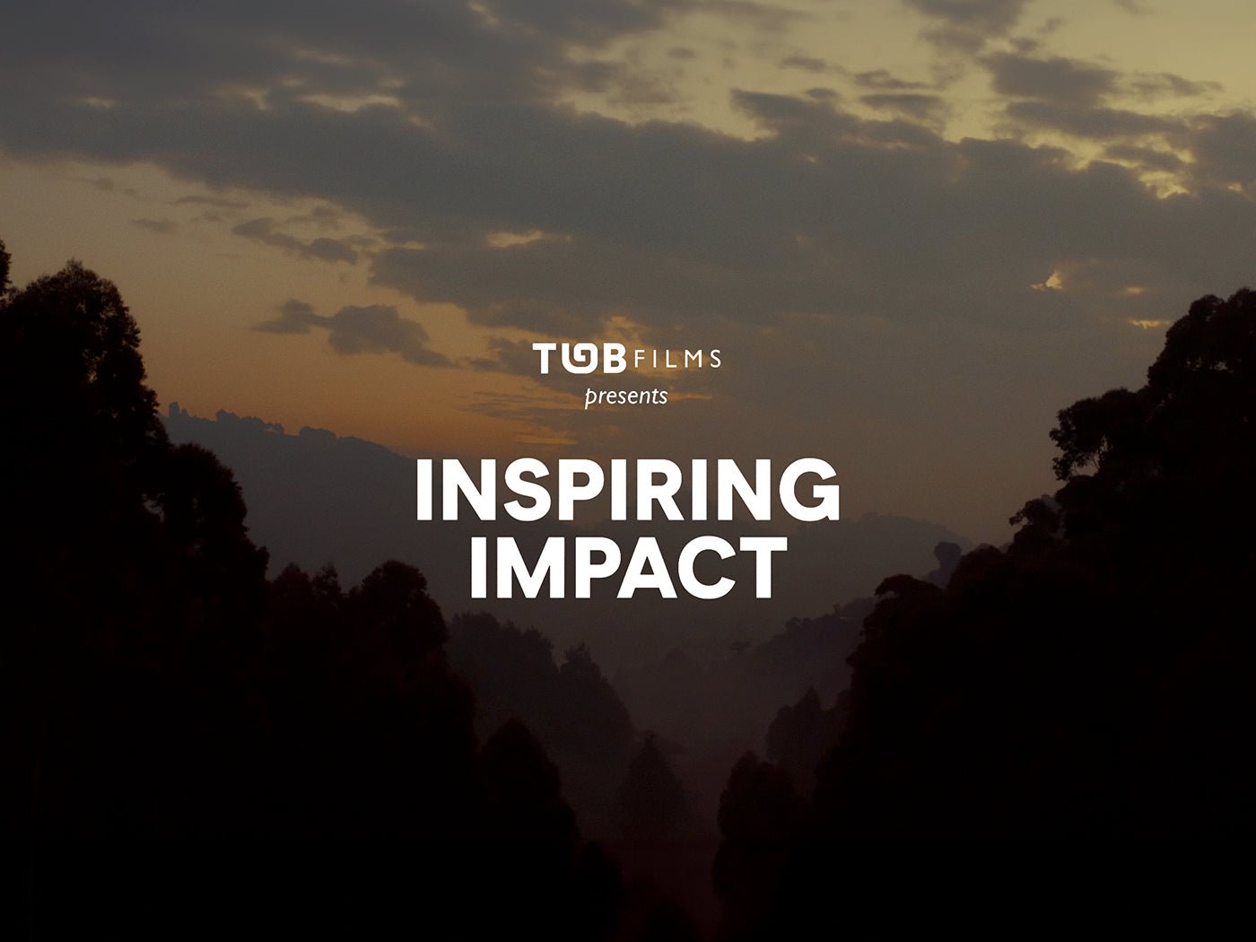 Inspiring Impact - THAT GORILLA BRAND