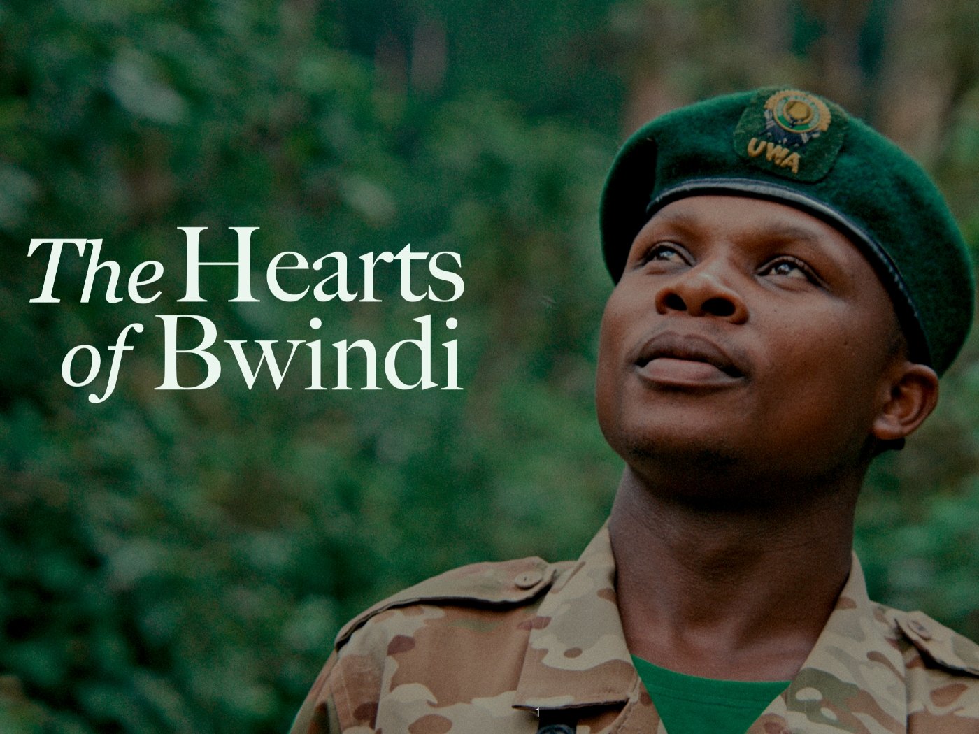 That Gorilla Brand presents 'The Hearts of Bwindi'. - THAT GORILLA BRAND