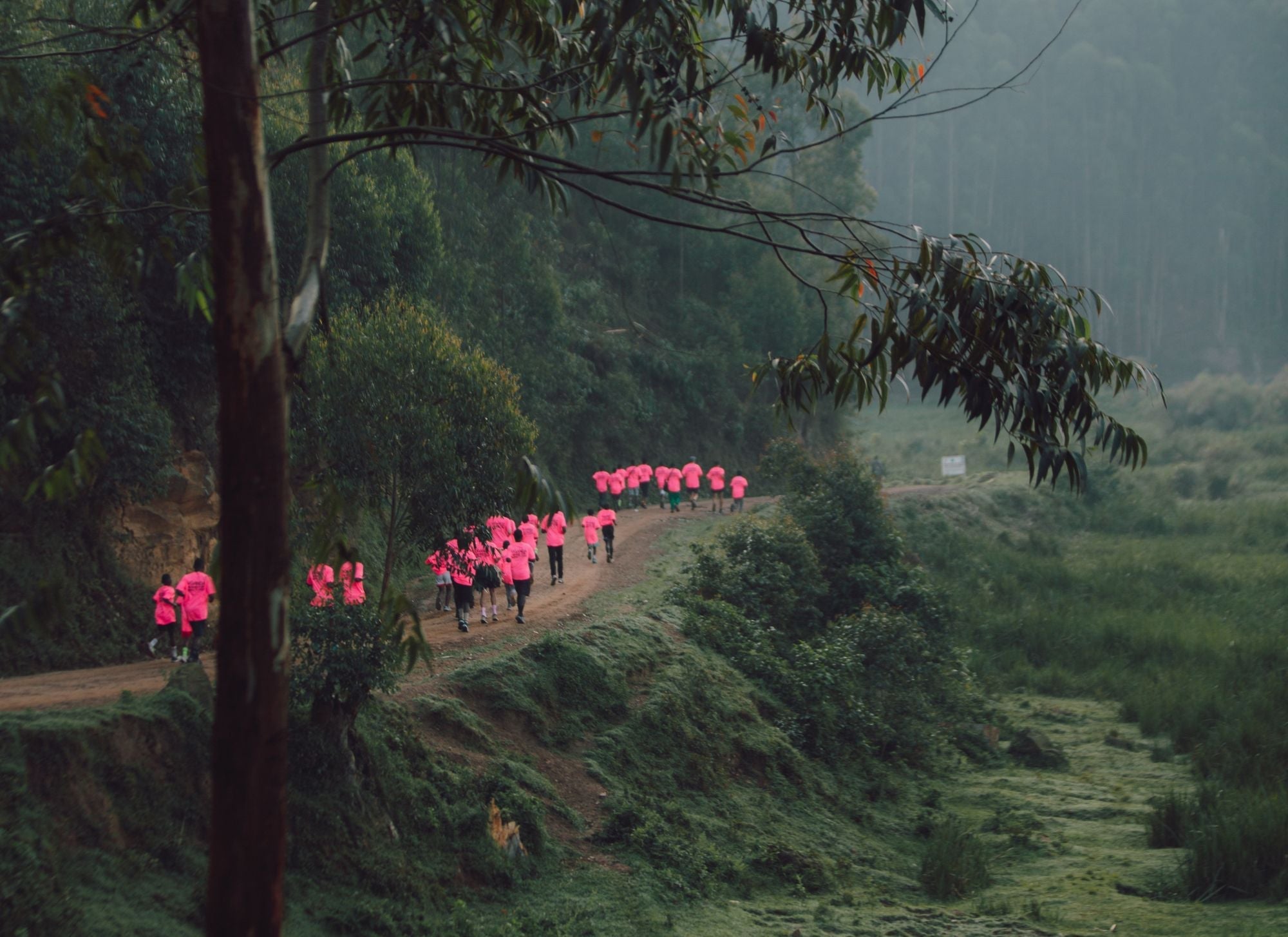 ALL PRODUCTS - THAT GORILLA BRAND